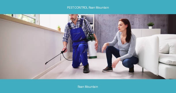 PEST CONTROL Roan Mountain